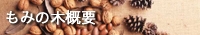 もみの木概要