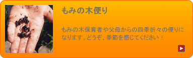 もみの木便り