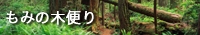 もみの木便り